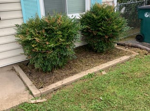 Weeding by Harold Young for Stephanie B. in Richmond, VA