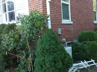 Cleanups by William Pittenger for Marjorix D. in Easton, PA