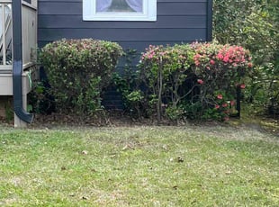 Bush Trimming by David Canty for Adriana O. in Durham, NC