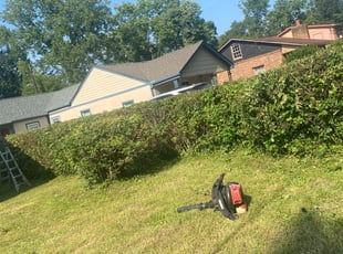 Bush Trimming by Gilberto Nava for Jerome W. in Nashville, TN