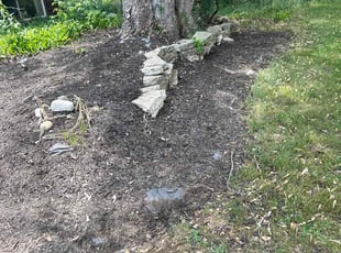 Leaf Removal by Ryan Cooper for Glen B. in Grand Rapids, MI
