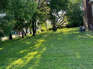 norvell C.'s Yard Cutting service result