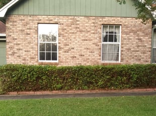 Bush Trimming by Alan Hollis for Shirley W. in Tallahassee, FL