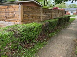 Bush Trimming by Laray Shipman for Larry S. in Warren, MI