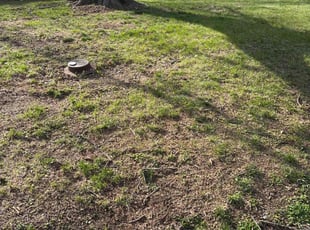 Cleanups by Tim Kirkpatrick for Andrew L. in Grandview, MO