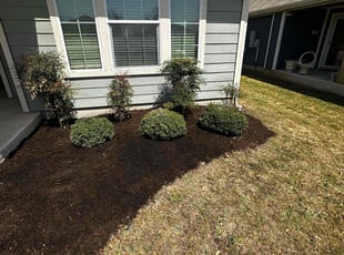 Weeding by Spencer Reed for Jenna C. in Hutto, TX