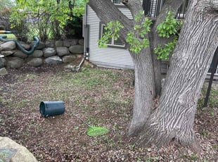 Leaf Removal by Mitch Melum for Phu N. in Fitchburg, WI