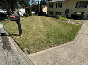 Renee A.'s Lawn Mowing Service service result