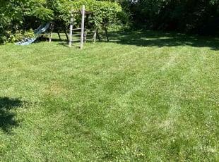 Lo T.'s Yard Cutting service result
