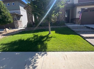 Christopher G.'s Lawn Service service result