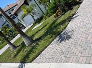Kim H.'s Yard Cutting service result