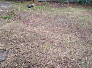 Cleanups by Antonio Simmons for John H. in Virginia Beach, VA