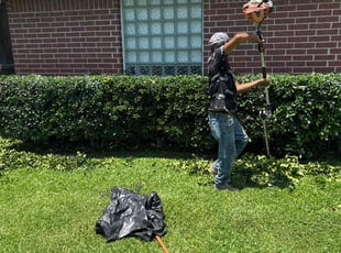 Levon N.'s Bush Trimming service result