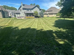 Towanda S.'s Yard Cutting service result