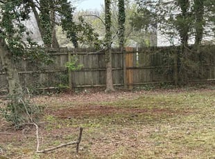 Leaf Removal by Caree Keith for Terrence G. in Waldorf, MD