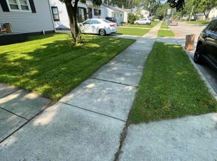 Aziza H.'s Yard Cutting service result