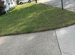 Linda L.'s Lawn Care service result