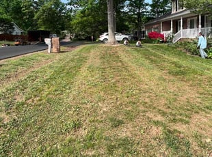 Leaf Removal by Alex Gentry for Dalen L. in Fredericksburg, VA