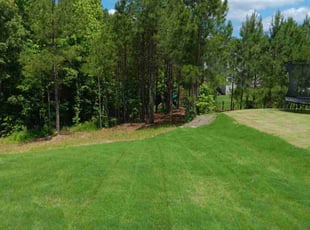 Johanna Z.'s Lawn Maintenance service result