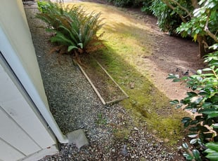 Cleanups by Coben Varland for Jamie B. in Bellevue, WA