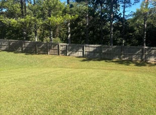 Rahmel M.'s Lawn Mowing service result