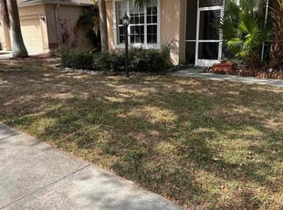 Leaf Removal by Melvin Marroquin for Garth P. in Parrish, FL