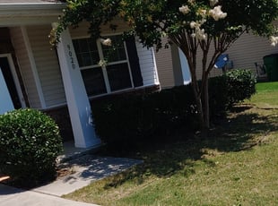 Bush Trimming by Ryan Elswick for Laura J. in Charlotte, NC