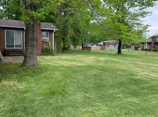 Jason F.'s Grass Cutting service result