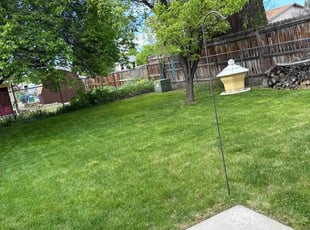 Sheryl T.'s Lawn Service service result
