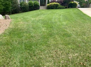 Jackie H.'s Lawn Care service result