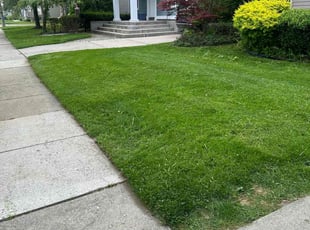 Kathy H.'s Lawn Care service result