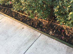 Mulching by Dapanion Baszile for Mark R. in Houston, TX