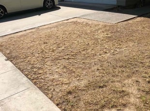 Leaf Removal by Johnie Parker for Josiah R. in Fresno, CA