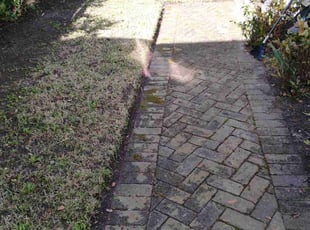 Leaf Removal by Ronald Butler for Sarah S. in Charleston, SC