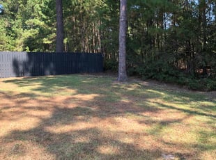 Cleanups by Jeremy Brown for Derek C. in Summerville, SC