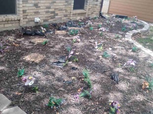 Lynda J.'s Flower Bed Weeding service result