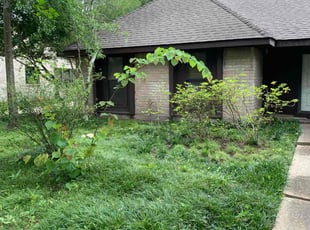 Leaf Removal by Dulce Aguirre for Barbara H. in Houston, TX