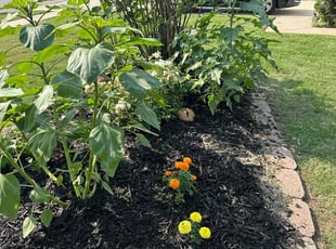 Mulching by Garrett Gill for Heather S. in Norman, OK