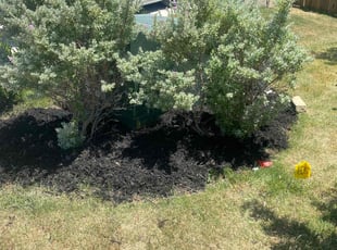Mulching by Bradley Matthiesen for Christine C. in Boerne, TX
