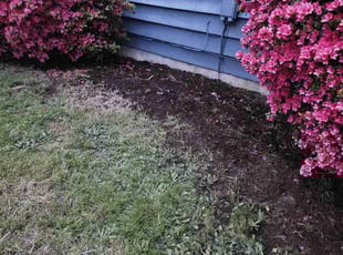 Cleanups by Shannon Schwittau for Haden K. in Portland, OR
