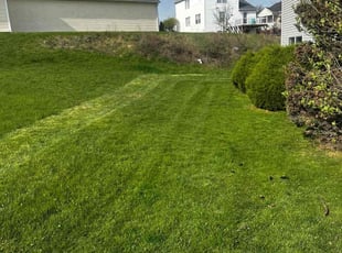 Carmen V.'s Lawn Mowing service result
