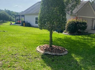 Bush Trimming by Bruce Peterson for May W. in Jacksonville, FL