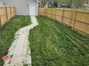 (Duplicate) Cheryl E.'s Lawn Care service result