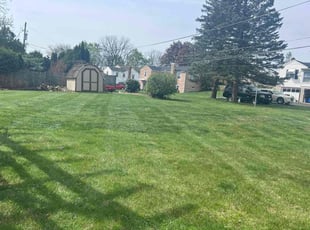 Brandon B.'s Lawn Mowing service result