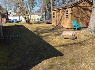 Leaf Removal by Steven Moreira for John M. in Chesapeake, VA