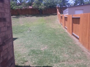 Cleanups by Rene Hernandez for Selena R. in San Antonio, TX
