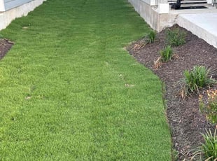BILL S.'s Lawn Mowing service result