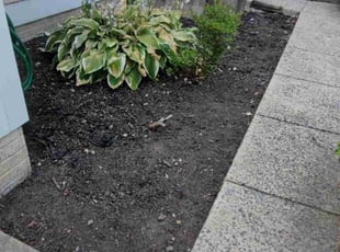Sarah M.'s Flower Bed Weeding service result