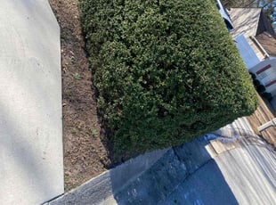 Bush Trimming by Brandon Russell for Lynden F. in Suffolk, VA