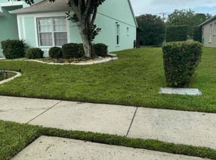 Kimberly S.'s Lawn Care service result